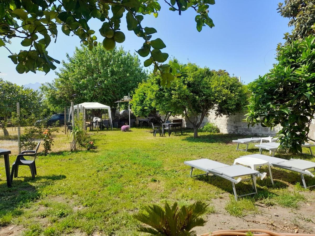 City Pompei Accommodations Dış mekan fotoğraf